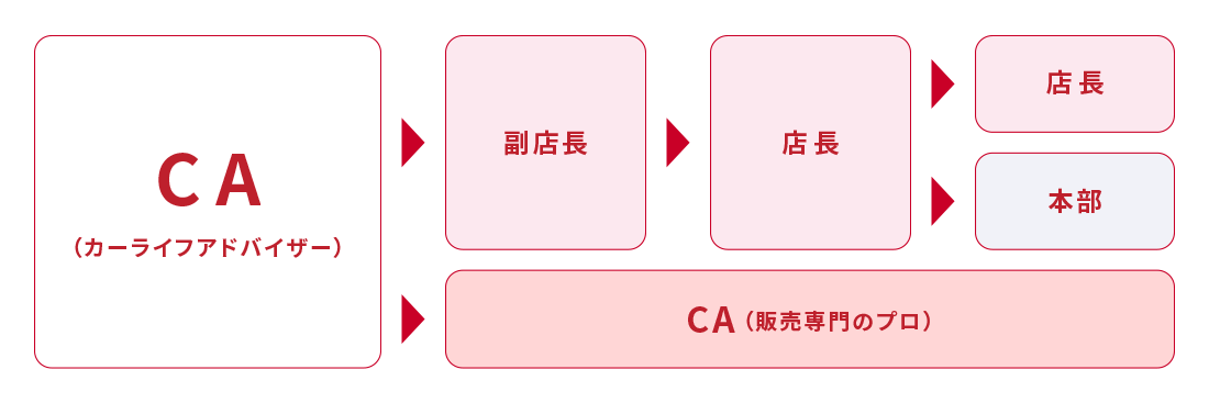 CA（カーライフアドバイザー）には、大きく二つのキャリアがあります。1つは副店長・店長・本部というキャリア。もう一つはCA（販売専門のプロ）というキャリアがあります。